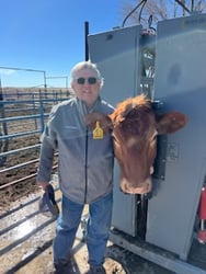 G. Duff and cow