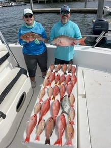 Kristin - fish